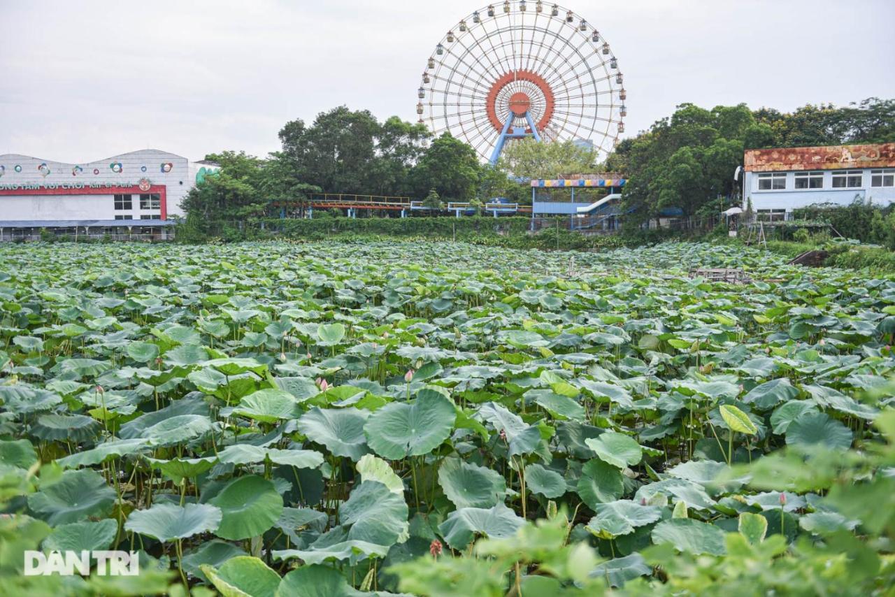 Best Price Ho Guom Apartments For Long Stay Hanoi Esterno foto
